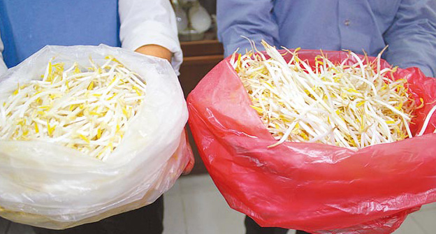 臺灣再爆食安問題 工廠用漂白劑生產豆芽日產近5噸