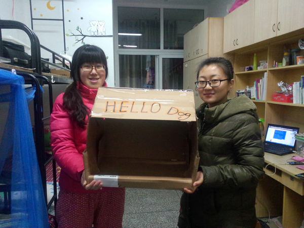 揚(yáng)大學(xué)子廢物利用為流浪動物建“愛心小屋”