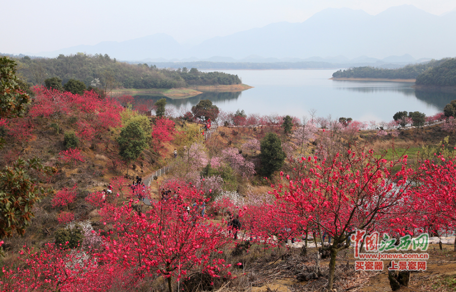 “第六屆全國網絡媒體江西游”采訪團暢游桃花島