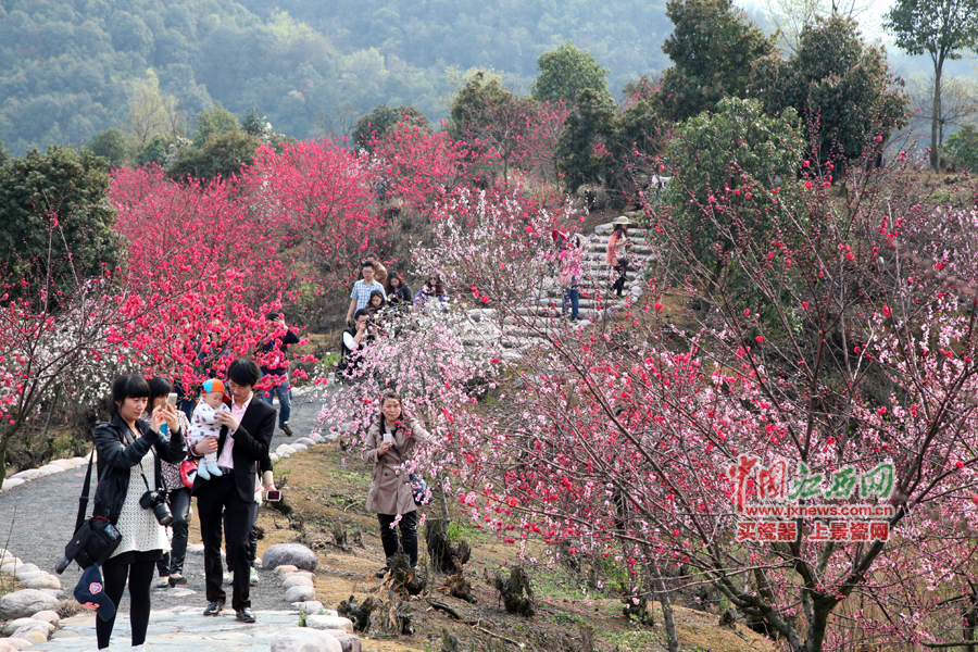 “第六屆全國網絡媒體江西游”采訪團暢游桃花島