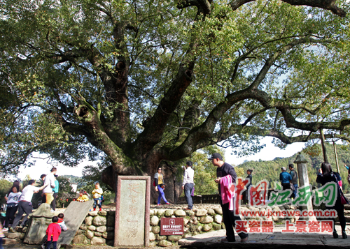 全國網媒記者探尋婺源嚴田千年古樟 觀看儺舞秀