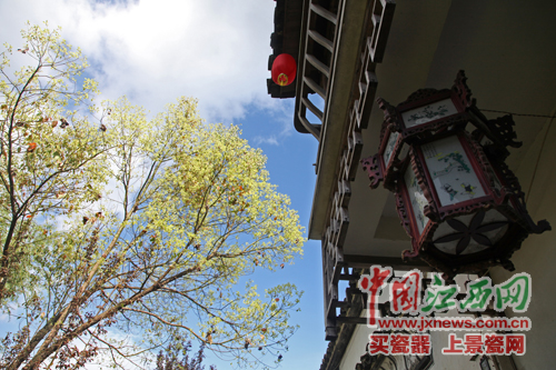 全國網媒記者探尋婺源嚴田千年古樟 觀看儺舞秀