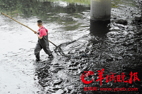 粵環境犯罪4廳官落馬 西江盜砂案曝40名