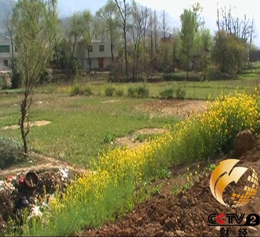 貧困縣斥資上億占地百畝建豪華辦公樓 官員稱為了面子