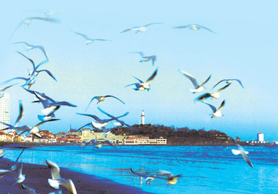 2010中國最佳休閑城市評選揭曉