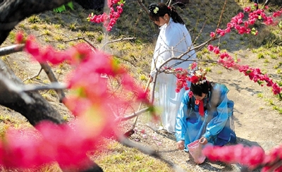 大觀園清明時節上演黛玉葬花