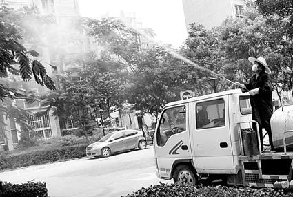 北京昌平確認龍澤苑西區出現蜱蟲 已全面排查