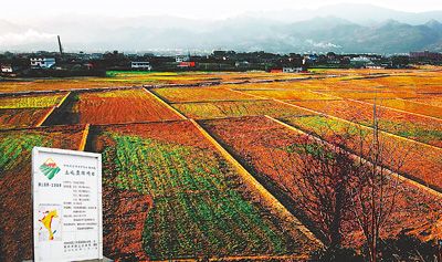 國土資源部部長:正視我國土地問題的三個“難以為繼”