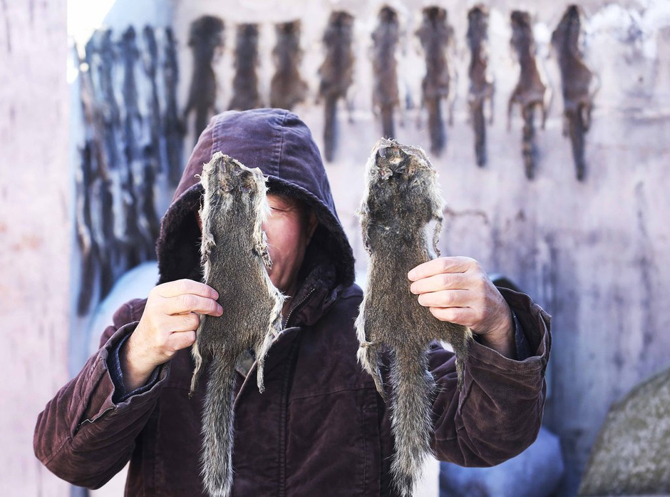 農戶剝皮賣保護動物 每年至少百余張