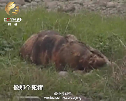 統計稱中國每年10億噸垃圾圍城 全世界數一數二