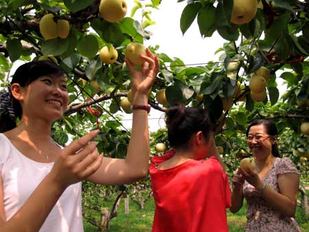 2011大興“春華秋實”系列活動啟動