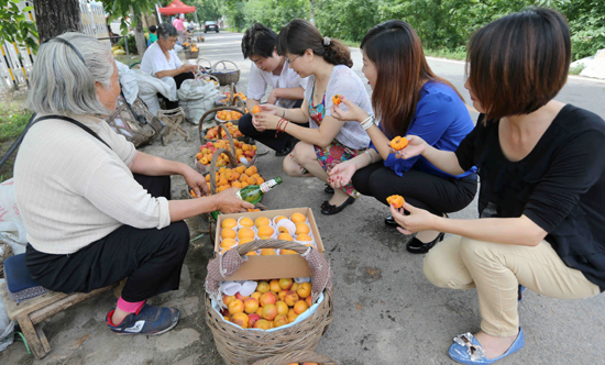 北京平谷第十二屆北寨紅杏文化節開幕