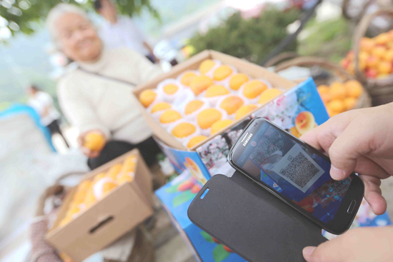 北京平谷第十二屆北寨紅杏文化節(jié)開幕