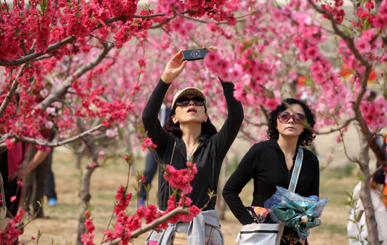 北京平谷第十六屆國際桃花音樂節(jié)將舉辦