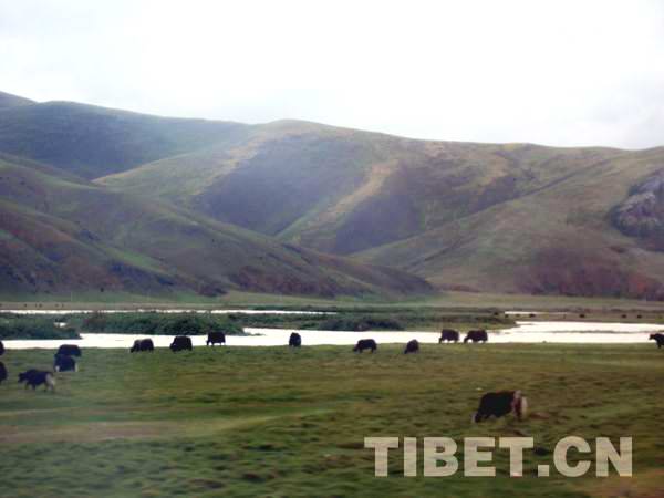 昌都農牧業駛入發展快車道