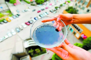 黑豆磨出豆漿居然有油漆味 一把黑豆壞了一鍋雞湯