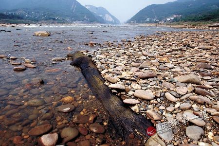 洪水退了意外驚現“植物木乃伊”陰沉木