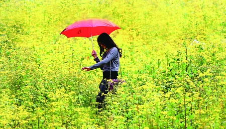 巴濱路打造重慶中央活動區 建設濱江城市經濟帶