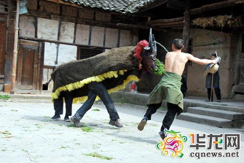 重慶5項目入選國家非遺 看不了斗牛來看