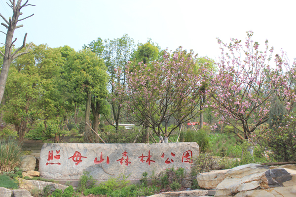 重慶主城最大城市森林公園14日開園