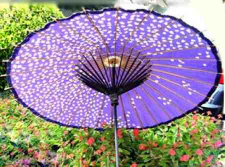 16世紀(jì)中國(guó)傘風(fēng)靡歐洲 兩度獲世博會(huì)大獎(jiǎng)