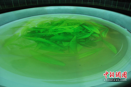 浙江館詩畫“青瓷碗”