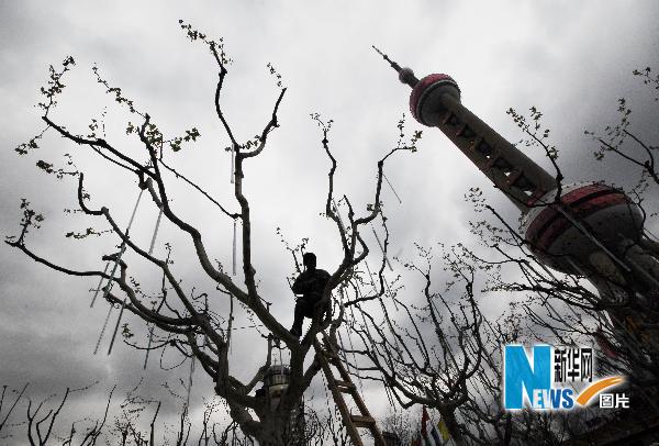世博會：6000多萬盆鮮花裝點申城