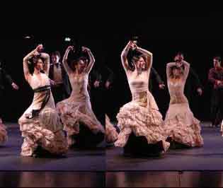 弗拉門戈 舞動世博