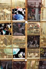 昨入園55.2萬再創新高 已無冷門場館