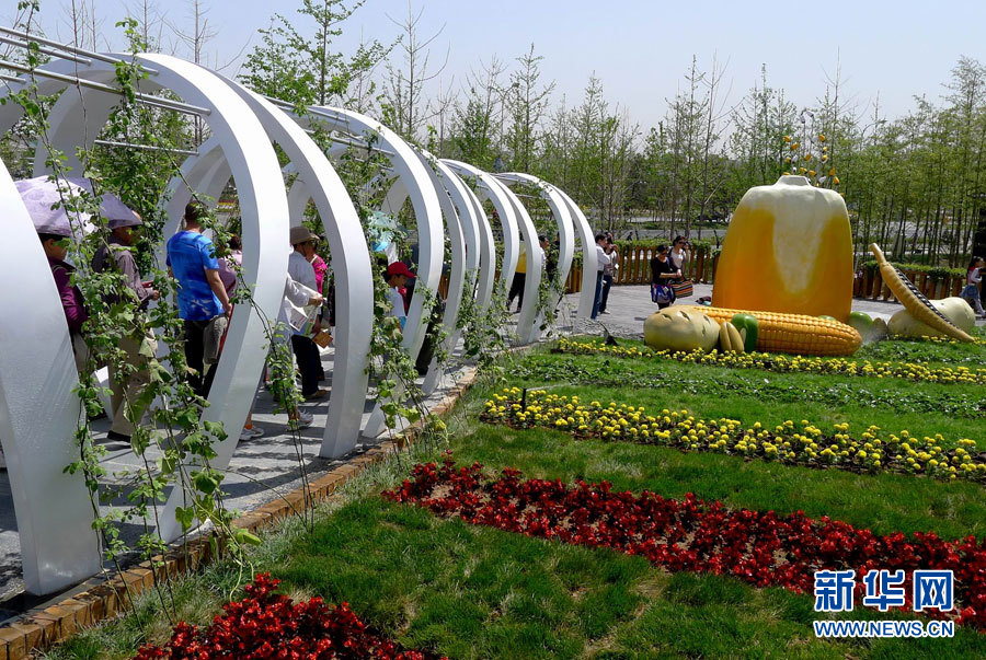 2011西安世園會開園