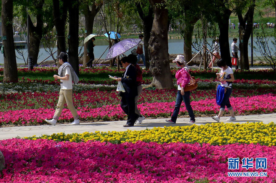 2011西安世園會開園