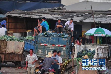 南方降雨加劇西瓜銷售難