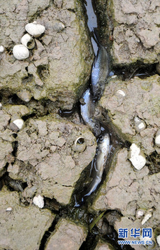 三問旱澇急轉 氣象專家解析長江中下游天氣形勢