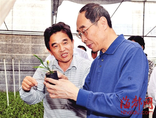 尤權(quán)昨在三明清流調(diào)研 與臺(tái)灣農(nóng)民拉家常