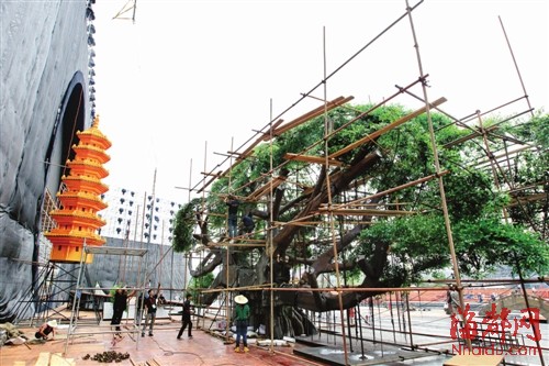 央視中秋晚會晚會布置正在進行 展現濃濃福州味