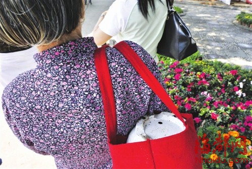 西湖盆景展撤展盆花遭哄搶 市民辯稱幫忙清理垃圾