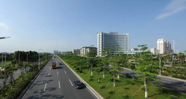 翔安大道兩側綠化景觀工程二期工程正式啟動