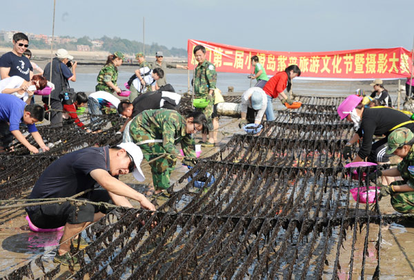 紫菜節攝影比賽 小嶝休閑漁村開幕