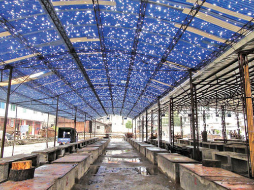 福建今年首發雷電紅色信號 南平等地遭冰雹襲擊