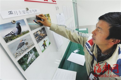 福州機場驅鳥人：鳥兒是對手，更是朋友