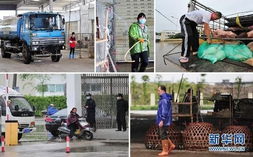 防控H7N9 福州海峽家禽批發市場緊急關閉