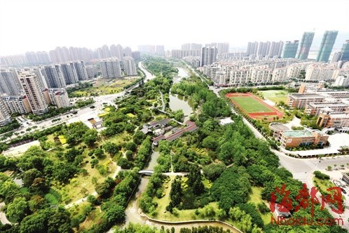 金山流花溪被渣土截斷 中下游河道塞滿了水浮蓮和垃圾