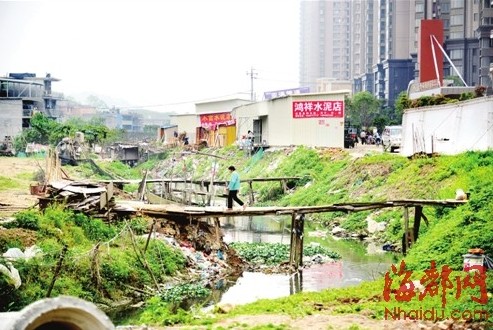 金山流花溪被渣土截斷 中下游河道塞滿了水浮蓮和垃圾