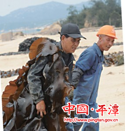 海帶收割:“十八般武藝”各顯神通