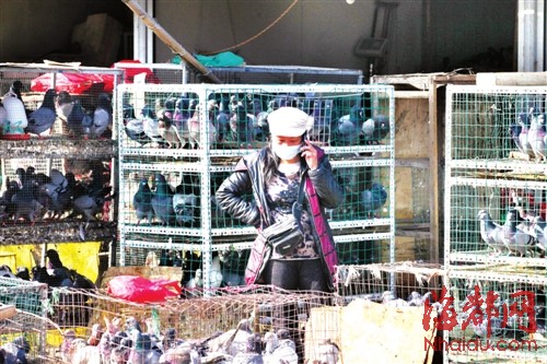 關閉一個月后 海峽家禽市場今起重開賣活禽