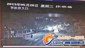 鴕鳥大鬧漳州連撞4小車 警車及200市民一路追鳥