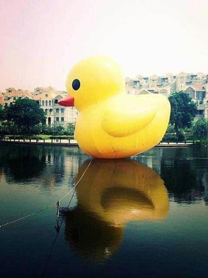 泉州鯉湖現15米高“大黃鴨” 市民紛紛拍照留戀