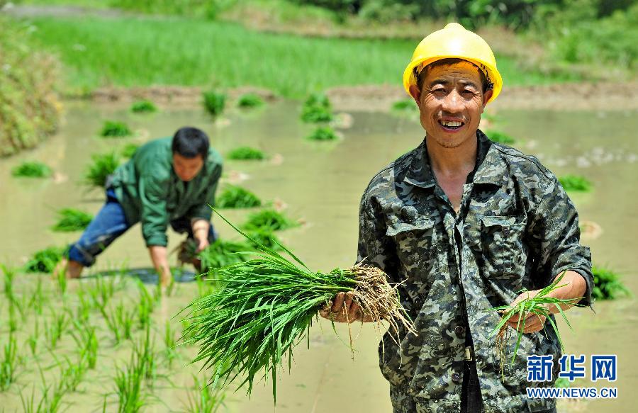 “穿梭在田間地頭的鄉(xiāng)村醫(yī)生”——彭火興