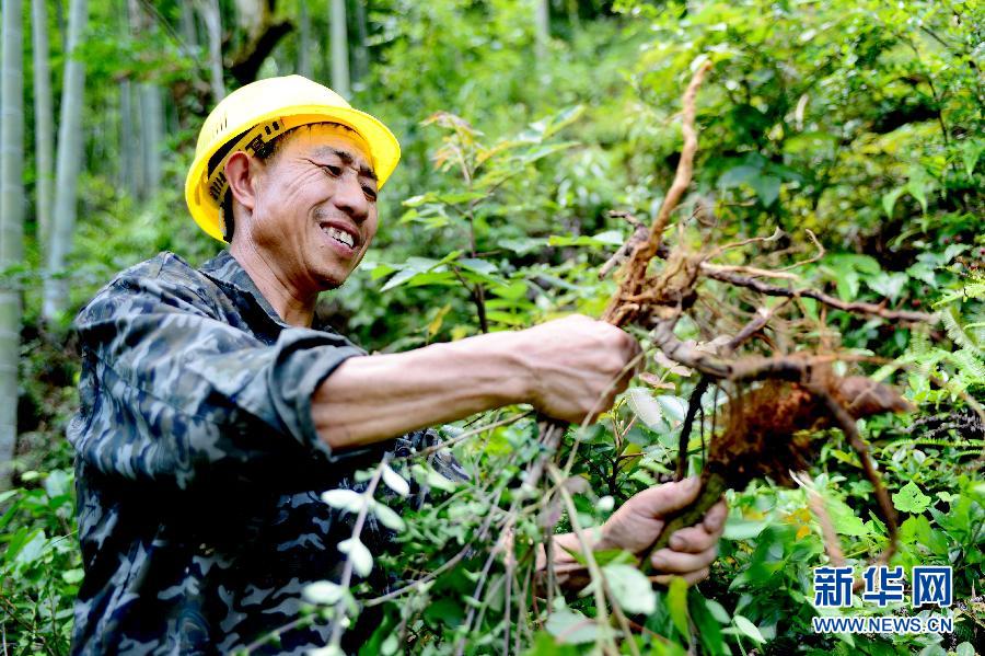 “穿梭在田間地頭的鄉村醫生”——彭火興
