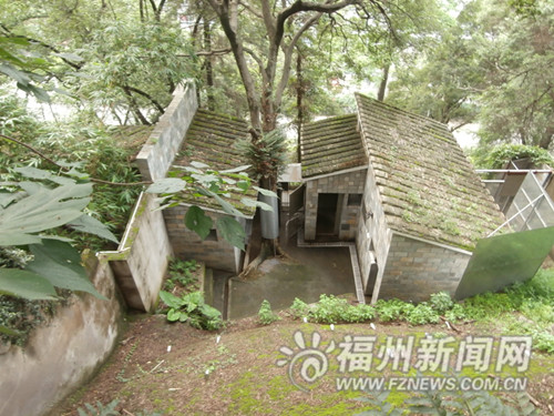 福州向臺灣贈送3只自繁小熊貓 赴臺時間仍在協商